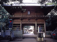 最御埼寺-安芸・室戸（高知県東部）観光コース｜おすすめ観光｜さくらハイヤー